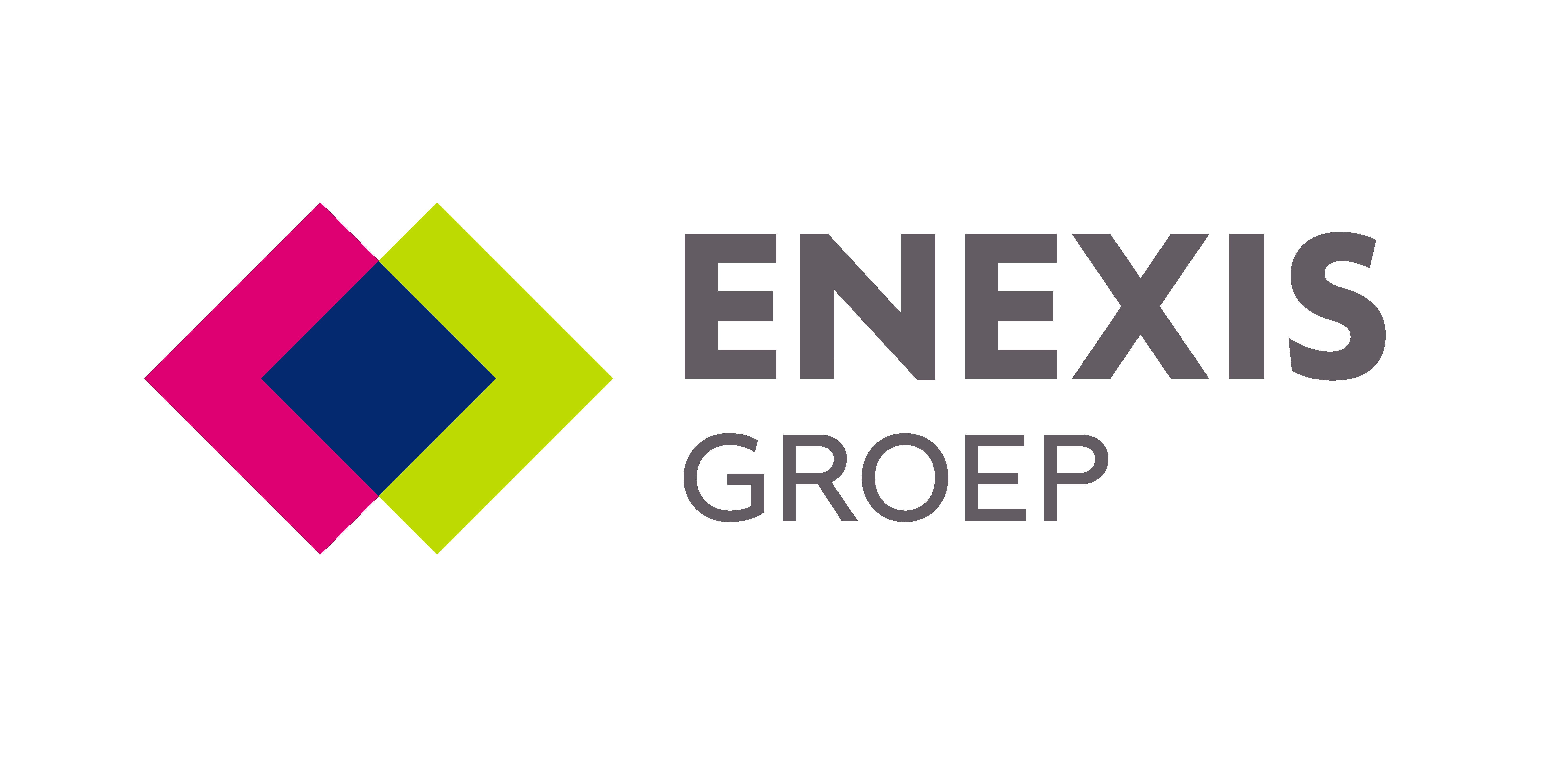 enexis logo